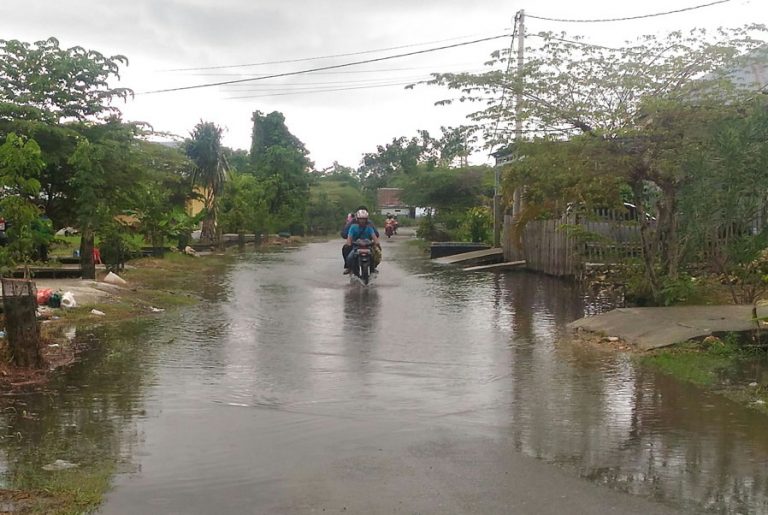 P_20170518_155532_1 P_20170518_155532_1