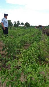 Kepala Rutan Matra Bekali WBP Untuk Menjadi Pengusaha Hasil Perkebunan