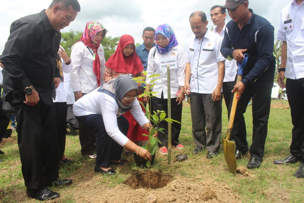 Peringati HLH Sedunia Tingkat Provinsi, Wagub Sulbar Tanam Pohon Di Mateng