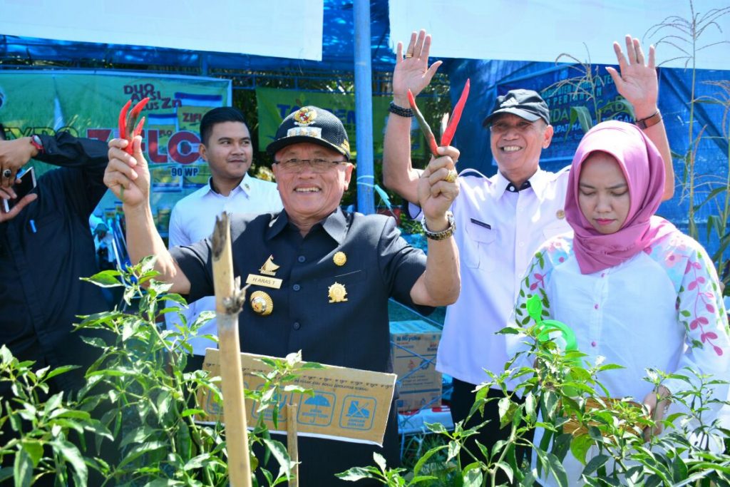 Produksi Cabai Mampu Meningkatkan Income Perkapita Masyarakat
