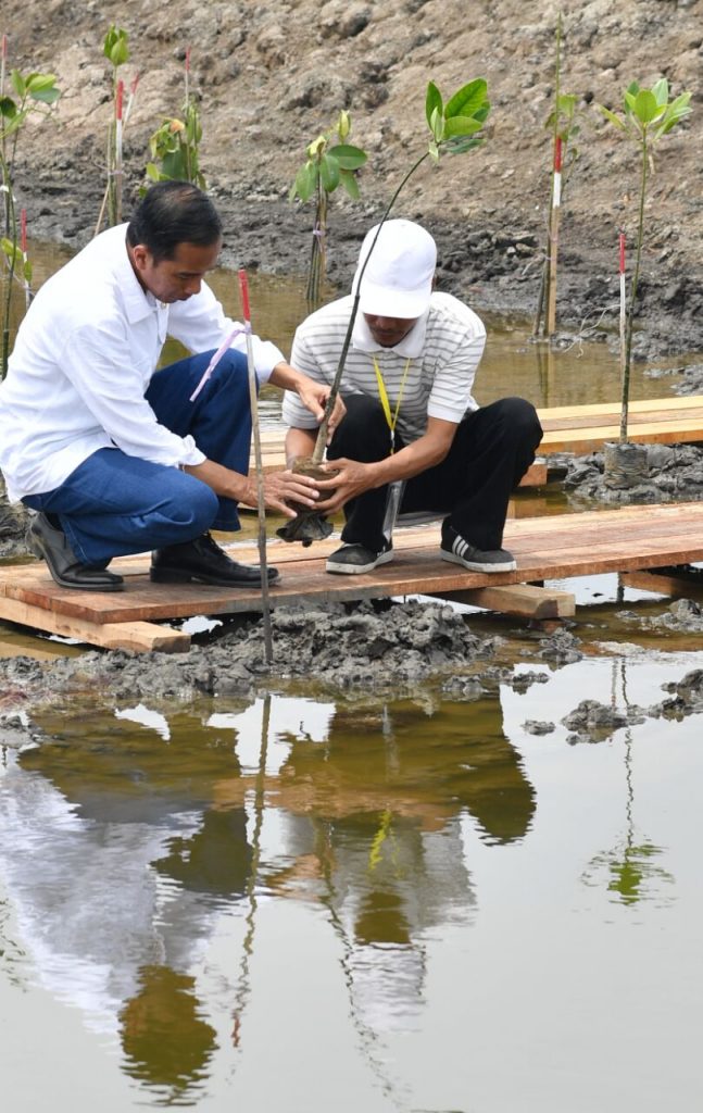 Sejak 1 November 2017, Program Terpadu Perhutanan Sosial Indonesia Kini Dimulai