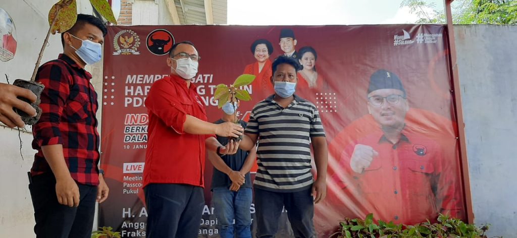 HUT PDI Perjuangan Ke 48, Arwan Aras Bagikan Ribuan Pohon Kayu Jati Dan Ratusan paket Nasi Kotak Untuk PKL dan Daeng Becak