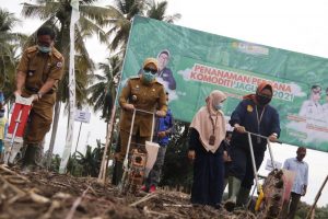Sutinah Berharap, Agro Inovasi Super Tani Lahirkan Petani KEREN
