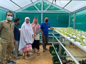 SDK Bantu 40 Kelompok Wanita Tani di Sulbar