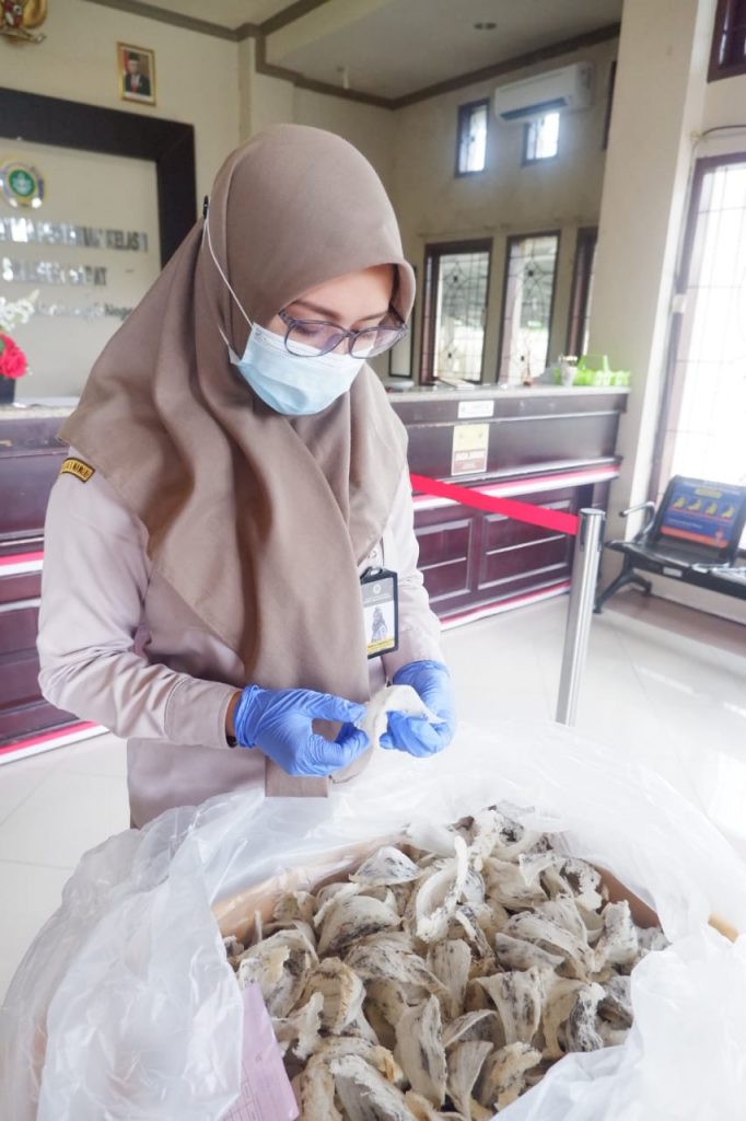 Karantina Pertanian Mamuju Kirim SBW Ke Salatiga