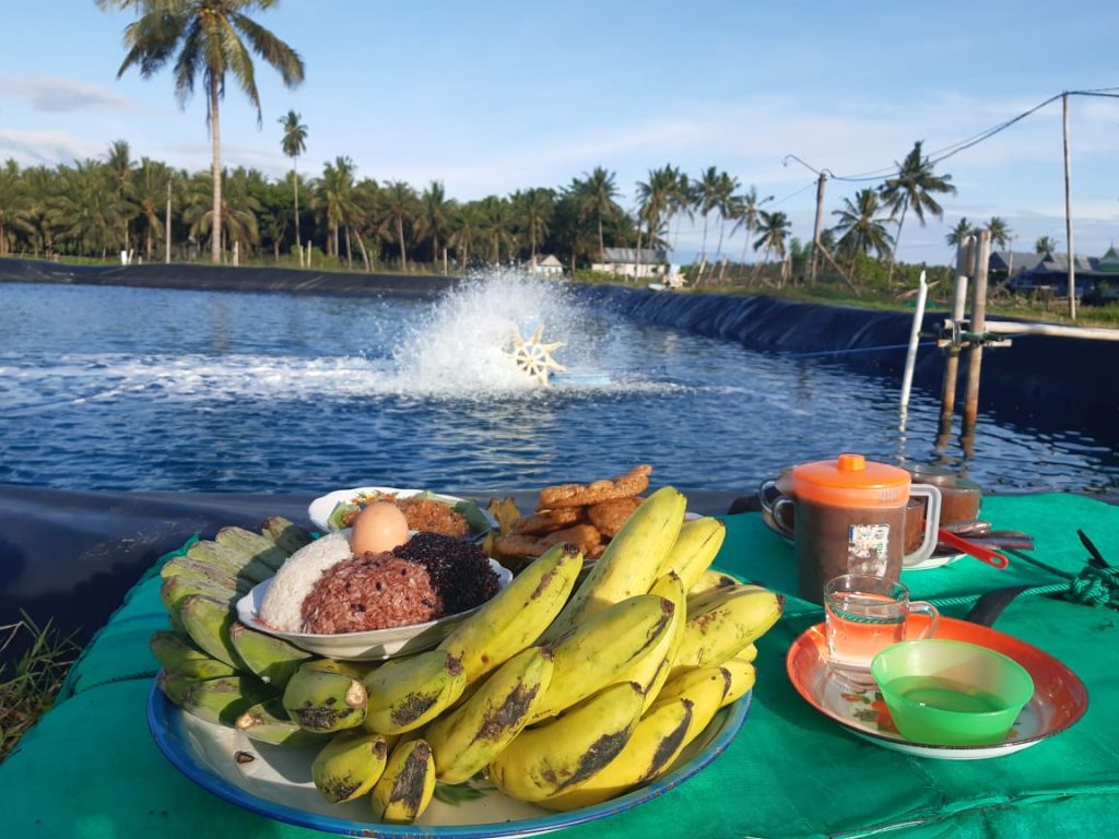 PT TEP Kembangkan Bisnis Sosial Berbasis Agrobisnis Untuk Masyarakat Sulawesi Barat