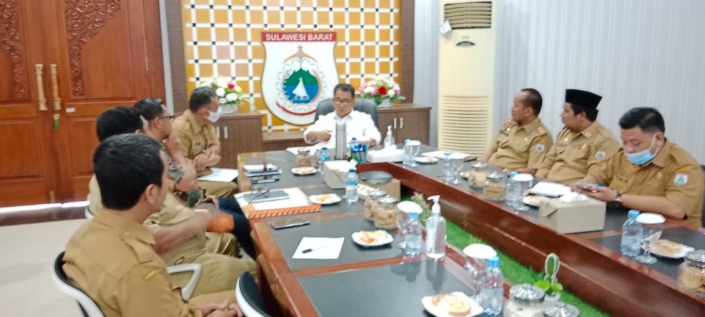 Sapi Qurban Dari Presiden Jokowi Bakal Disembelih dan Dibagikan di Mamuju