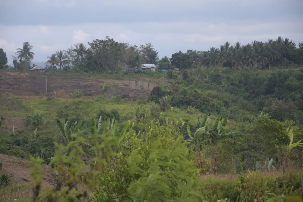 Serap APBD 400 Juta, Lahan Seluas 50 Hektar Hanya Mampu Hasilkan 50 Juta Pertahun