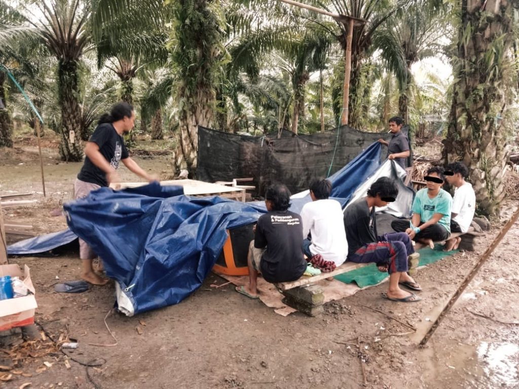 Gerebek Tempat Judi Sabung Ayam di Tobadak, Polisi Amankan 5 Pelaku
