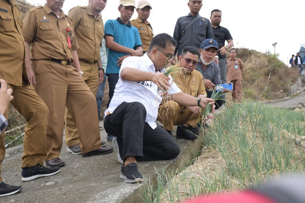 Majene Dipersiapkan Jadi Pusat Pengembangan Food Estate