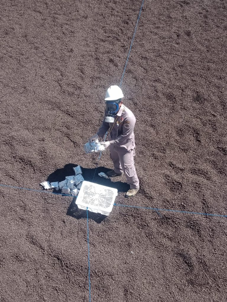 Ekspor Cangkang Sawit Sulbar Capai 65,9 Miliar