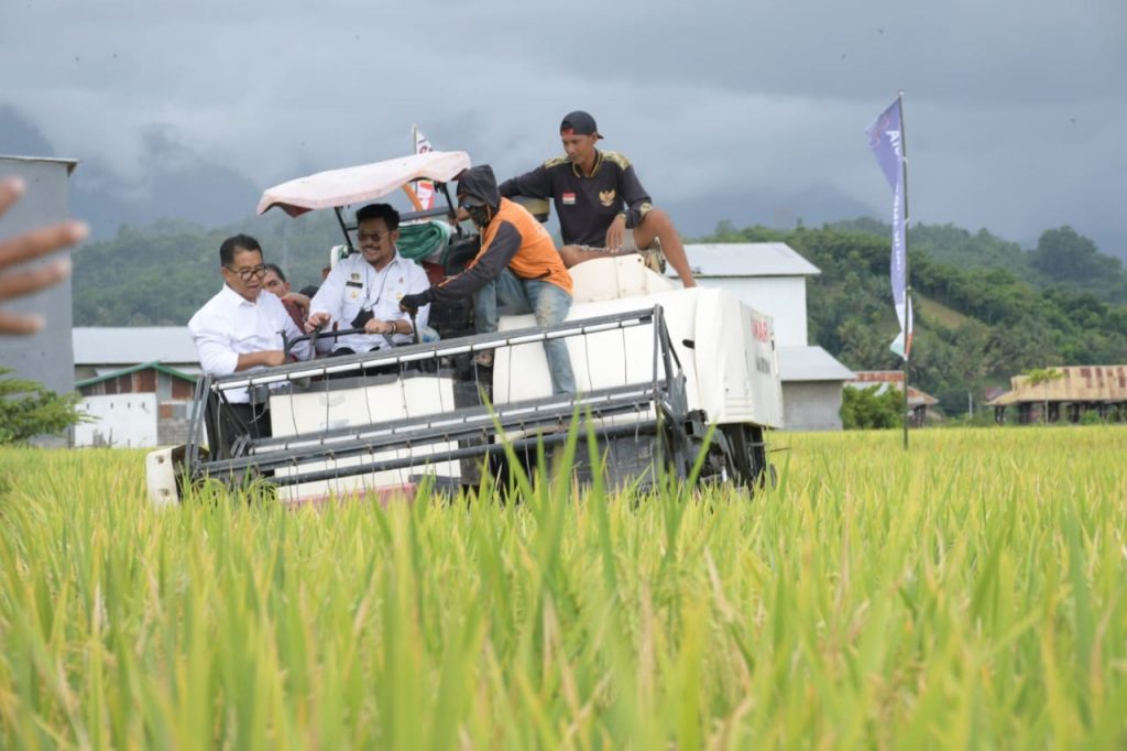 Mentan Hadiri Panen Raya Padi, Sofyan : Ini Pertanda Baik Bagi Kita