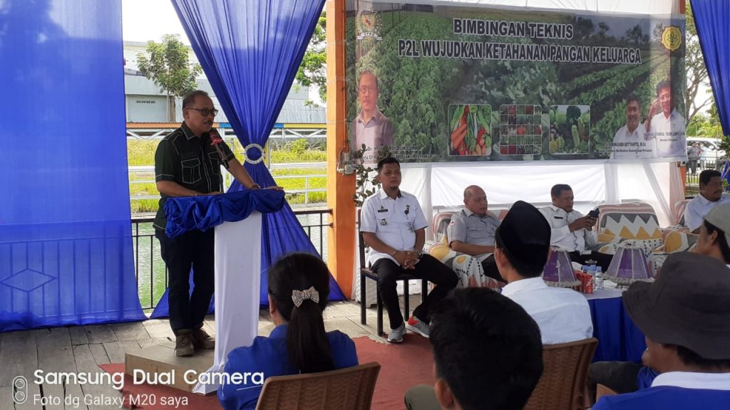 Untuk Menjadi Petani Yang Sukses Harus Mengetahui Cara Bertani