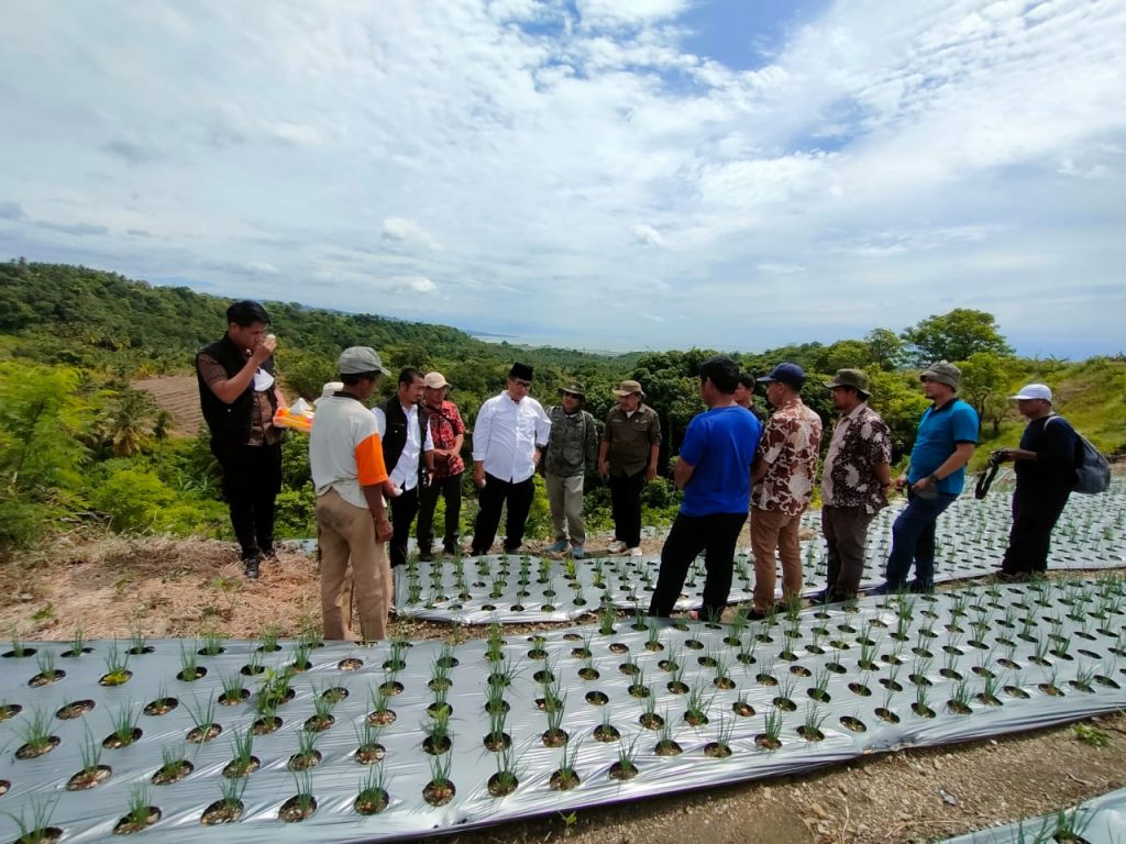 Program Food Estate di Majene Kembali Mendapat Bantuan Dari Akmal Malik