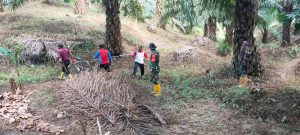 Babinsa Koramil Pasangkayu Dampingi Pengukuran Rencana Pembukaan Jalan Tani