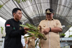 Pemprov Sulbar Dorong Kondo Sapata Sebagai Produsen Anggrek Indonesia