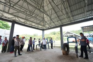 Pemprov Sulbar Bakal Bentuk Dinas Peternakan