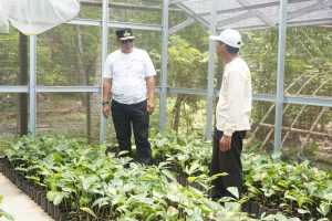 Siap Kembangkan Komoditi Aren, Pj Bahtiar Beli 3.000 Bibit di Polman