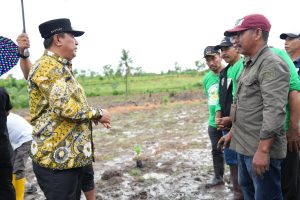 Pj Bahtiar Serukan Anak Muda Tidak Perlu Lagi ke Kota Cari Kerja, Manfaatkan Lahan Untuk Tanam Cavendish