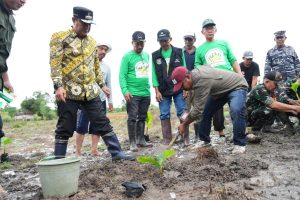 Harga Pisang Cavendish Dijamin Tidak Akan Turun Meski Panen Melimpah