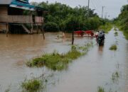 Banjir Landa Mamuju Tengah, BPBD Sulbar Instruksikan Penanganan Cepat dan Prioritaskan Keselamatan Warga