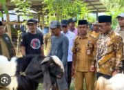 134 Lahir, 276 Bunting : Program Bantuan Kambing SDK-JSM Terbukti Produktif dalam 6 Bulan