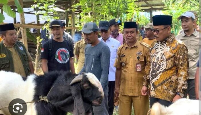 134 Lahir, 276 Bunting : Program Bantuan Kambing SDK-JSM Terbukti Produktif dalam 6 Bulan