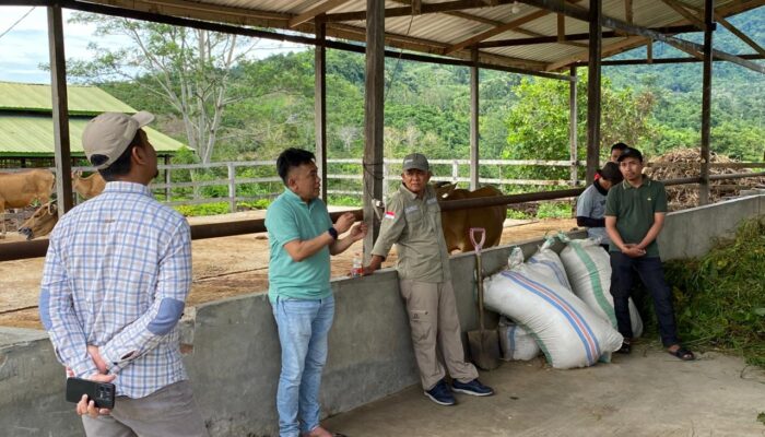Targetkan Sentra Bibit Unggul Sapi, Kadis TPHP Sulbar Dorong IPTU Beroangin Jadi Pusat Edukasi Peternakan