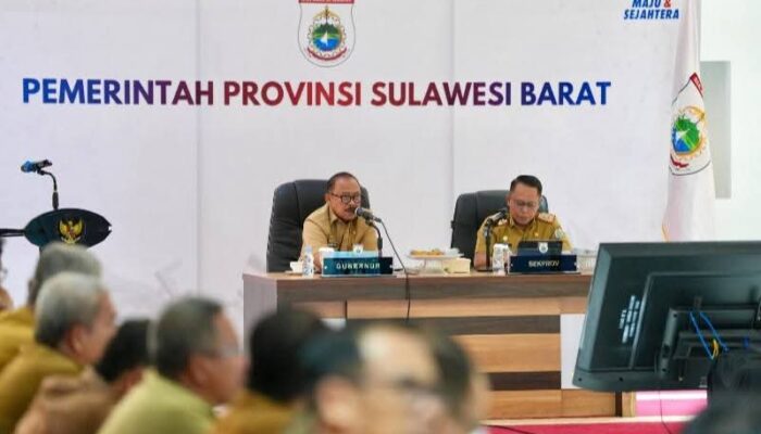 Wujudkan Panca Daya Ketiga, DKPPKB Sulbar Akselerasi Pembangunan SDM Berbasis Data Kesehatan Akurat