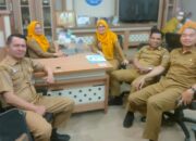 Tuntaskan Transisi Merger OPD, Dinsos P3A-PMD Sulbar Koordinasikan Pemetaan ASN ke BKPSDM