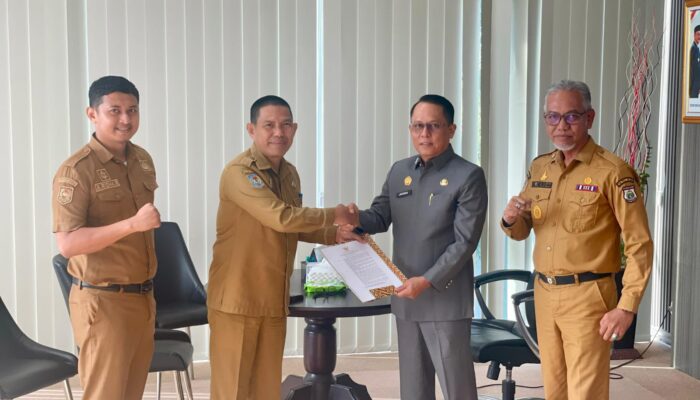 Gubernur SDK Tunjuk Amir Dado Jadi Plt Kepala DPMPTSP Sulbar, Jamin Layanan Investasi Tak Terganggu