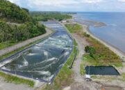 Dukung Investasi Berkelanjutan, DKP Sulbar Kawal Standardisasi Tambak Udang Vaname di Kalukku