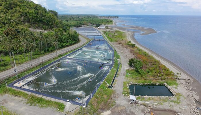 Dukung Investasi Berkelanjutan, DKP Sulbar Kawal Standardisasi Tambak Udang Vaname di Kalukku