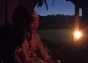 Nestapa di Balik Gubuk 2×3 Meter : Potret Perjuangan Ayah dan Anak di Mamuju Tengah