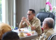 Sulbar Bidik Dana FOLU Net Sink : Ajukan Proposal Rp 36 Miliar untuk Pelestarian Hutan dan Ekonomi Karbon