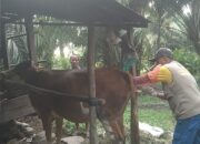 Ramadan Bukan Penghalang, Layanan IB Sulbar Tetap Siaga 24 Jam