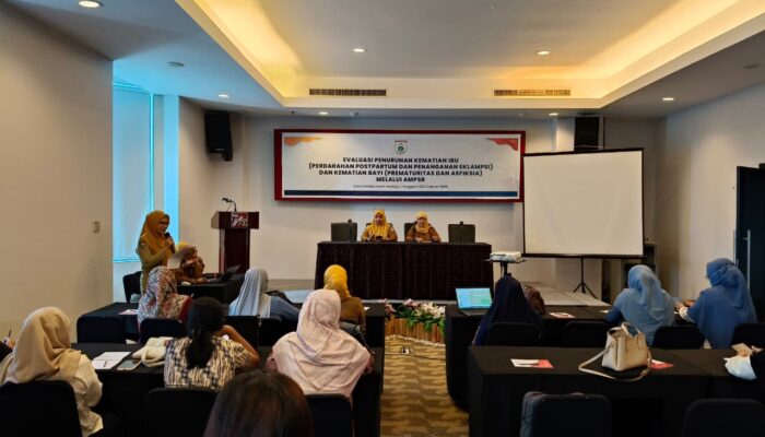 Tekan Angka Kematian Ibu dan Bayi, DKPPKB Sulbar Perkuat Evaluasi AMPSR Berbasis Data