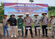 Dukung Swasembada Pangan 2026, DTPHP Sulbar Hadiri Tanam Raya Jagung Serentak di Mapolda