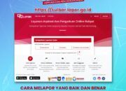 Optimalkan Pelayanan Publik, Pemprov Sulbar Ajak Masyarakat Gunakan SP4N-LAPOR: Jangan Diam, Laporkan!