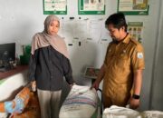 Dari Sulbar untuk Nusantara : Benih Jagung Komposit UPTD BBTPH Tembus Pasar Medan, Perkuat Swasembada Pangan Nasional