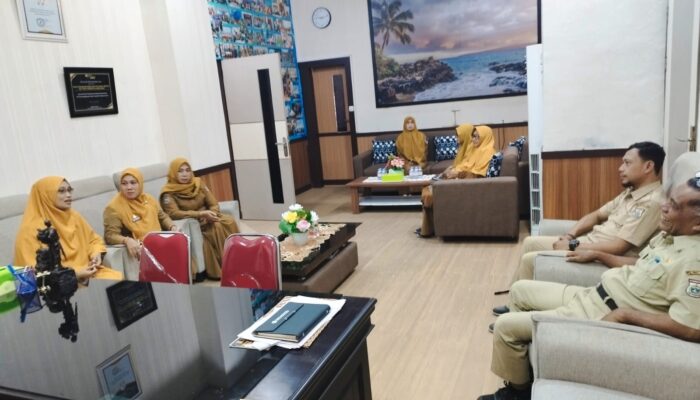 Pastikan Pelayanan Publik Tak Sekadar Formalitas, Inspektorat Sulbar ‘Bedah’ Kinerja DPMPTSP
