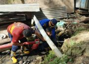 Piton Resahkan Warga Rangas, Tim Damkar Sulbar Gunakan Semprotan Air Bertekanan Tinggi Buru Ular Pemangsa Ternak