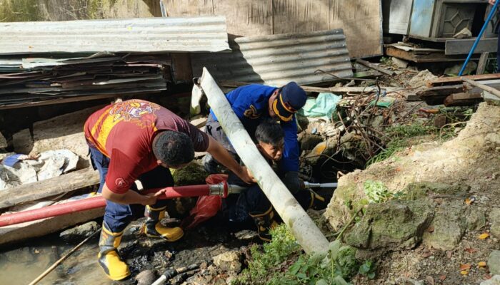 Piton Resahkan Warga Rangas, Tim Damkar Sulbar Gunakan Semprotan Air Bertekanan Tinggi Buru Ular Pemangsa Ternak