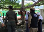 Bolos dan Merokok saat Jam Sekolah, 8 Pelajar di Mamuju Tengah Terjaring Operasi Satpol PP