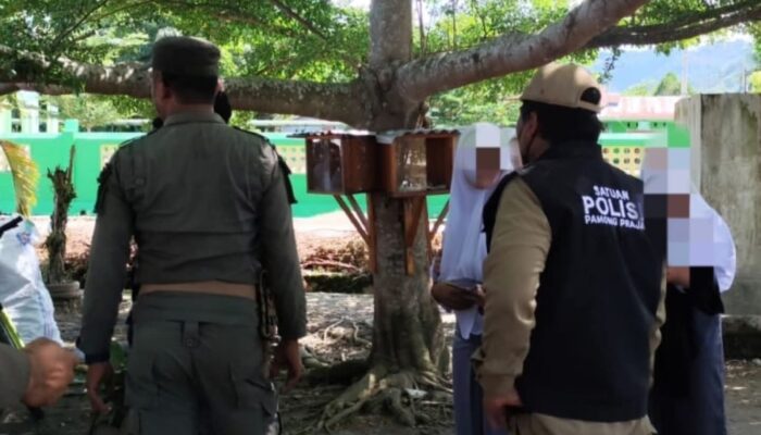 Bolos dan Merokok saat Jam Sekolah, 8 Pelajar di Mamuju Tengah Terjaring Operasi Satpol PP