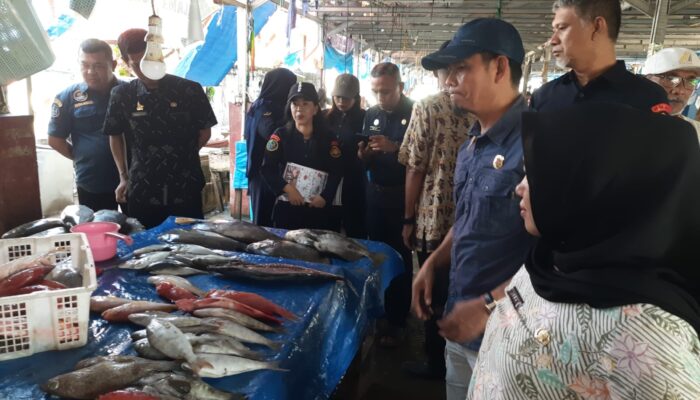 Lawan Formalin dan Boraks, Pemprov Sulbar Edukasi Pedagang Ikan di PPI Binanga demi Pangan Sehat