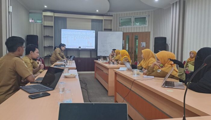 Sinergikan RPJMD dan SPBE, Biro Organisasi Sulbar Kebut Penyusunan Peta Proses Bisnis Pemprov