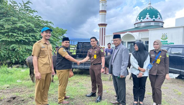 Sambut Iduladha, Pemprov Sulbar Serahkan Sapi Kurban ke Kejati: Simbol Sinergi dan Semangat Berbagi