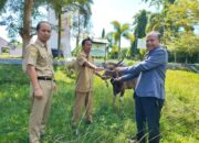 Satu Komando Visi SDK, Disperkimtanhub Sulbar Serahkan Sapi Kurban Terbaik Lewat Biro Pemkesra