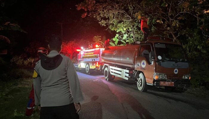 MENCEKAM! Hutan di Desa Sumare Mamuju Diamuk Si Jago Merah, Petugas Kewalahan Tembus Titik Api!